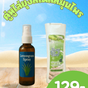 คู่หูไล่ยุงสไตล์สมุนไพร