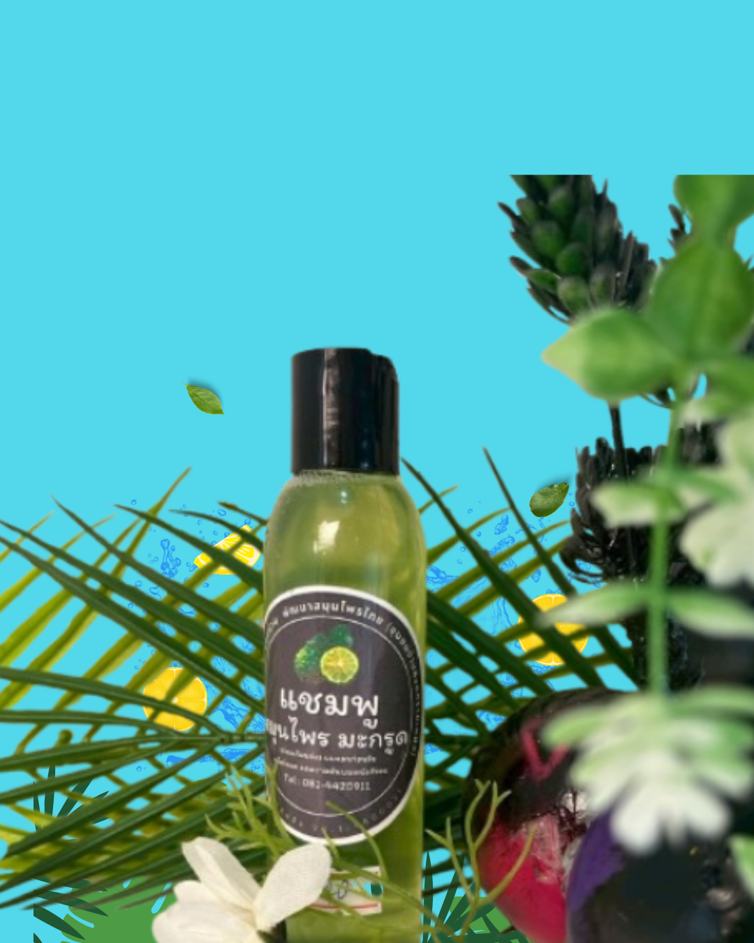 แชมพูสมุนไพรสูตรมะกรูด OTOP ทางเลือกใหม่ของคนรักเส้นผมธรรมชาติ